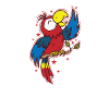 Parrot Singing Animal Bird