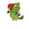 Parrot Dancing Bird Talking Animal