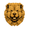 Tête de chien Chow Chow