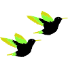 kolibri 02