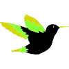 Colibri 01