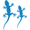 gecko 02