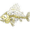 Poisson