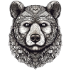 Bear Nature Environment Environmental Protection