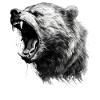 Bear Nature Environment Environmental Protection
