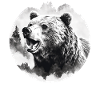Bear Nature Environment Environmental Protection