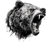 Ours, nature, environnement, protection de