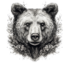 Bear Nature Environment Environmental Protection