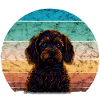 Sunset Cavapoo