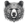 Bear Nature Environment Environmental Protection