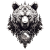 Bear Nature Environment Environmental Protection
