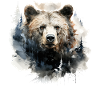 Bear Nature Environment Environmental Protection