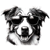 Australian Shepherd Sunglasses Dog Holder
