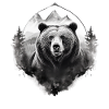 Bear Nature Environment Environmental Protection