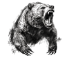 Bear Nature Environment Environmental Protection
