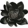 Obsidian Flower