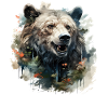 Bear Nature Environment Environmental Protection