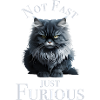 Not Fast just Furious