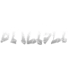 Bitlisli