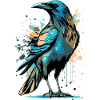 Black Raven - Crow
