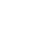 Scout