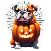 Bouledogue Halloween chien CHIENS