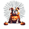 Bouledogue Halloween chien CHIENS
