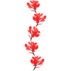 red flowers