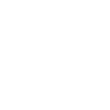 Jet Ski Shark