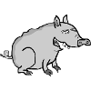 Funny Pig