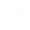 Monkey President