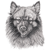 Autocollant Keeshond