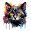 black cat
