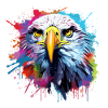Aigle blanche, bold eagle, USA