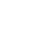 Leader