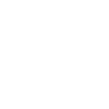 2029