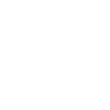 2009