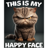 Funny Cats Shirt Grumpy