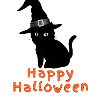 Happy halloween,cat, halloween