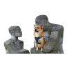 My Dog Is My Hero Across