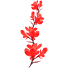Flower Tube Red Flowers