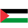 Palestine Palestinian Flag T-Shirt