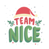 Team Nice Funny Christmas