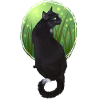 Ravenpaw Ravenpaw Black Cat Smukke krigere