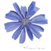 Flowerlover Nr. 8