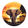 Africa.