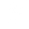 White long-haired cow