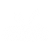 Krieg ist schlecht