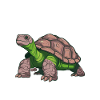 Humour Tortue Lente