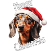 Dackel mit Nikolausmütze - Weihnachtsgeschenk